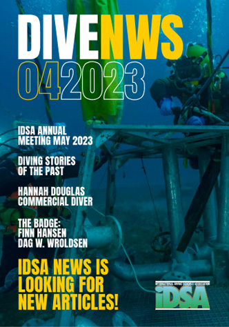 View Issue April 2023