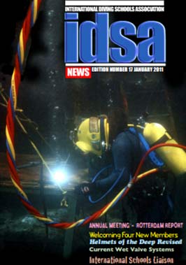 View Issue 17, January 2011
